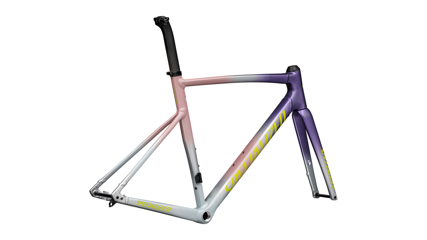 Allez Sprint Frameset - D'Aluisio Smartweld Alloy