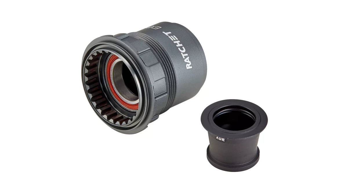 FREEHUB BODY DT SWISS XDR EXP W/ END CAP